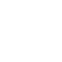 Brain Icon