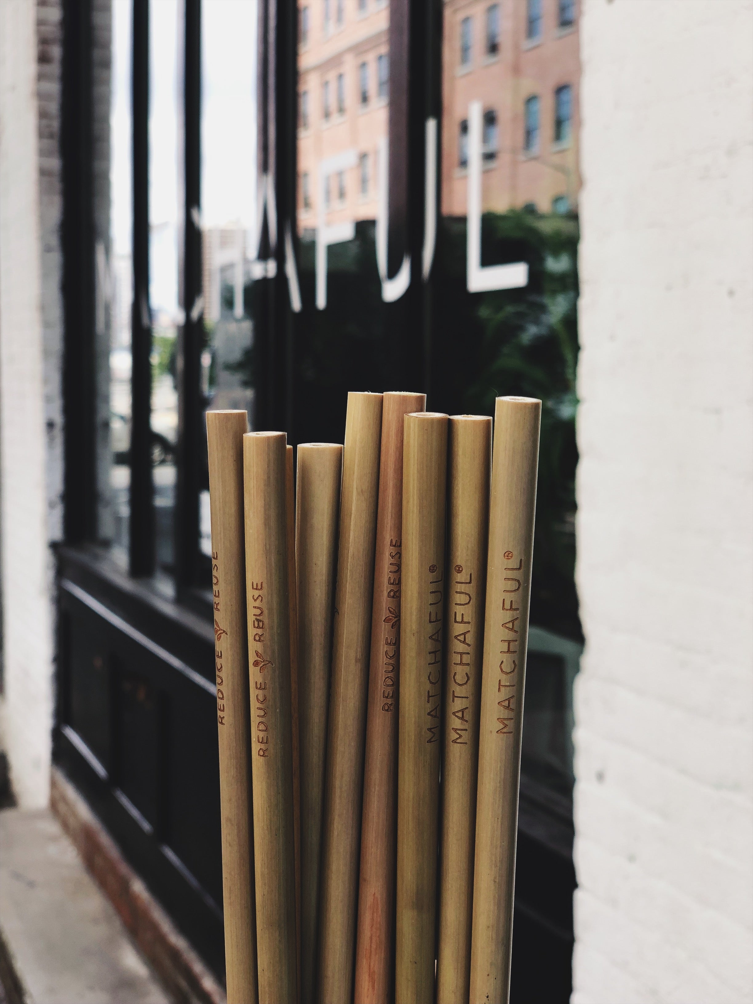 NEW Sustainable, Reusable, Compostable Bamboo Straws