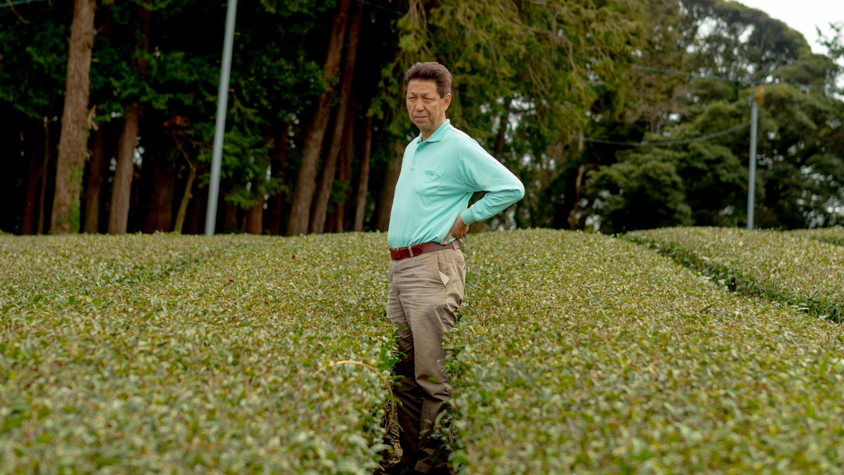 Hattori-san, Matchaful’s Chief Cultivation Expert
