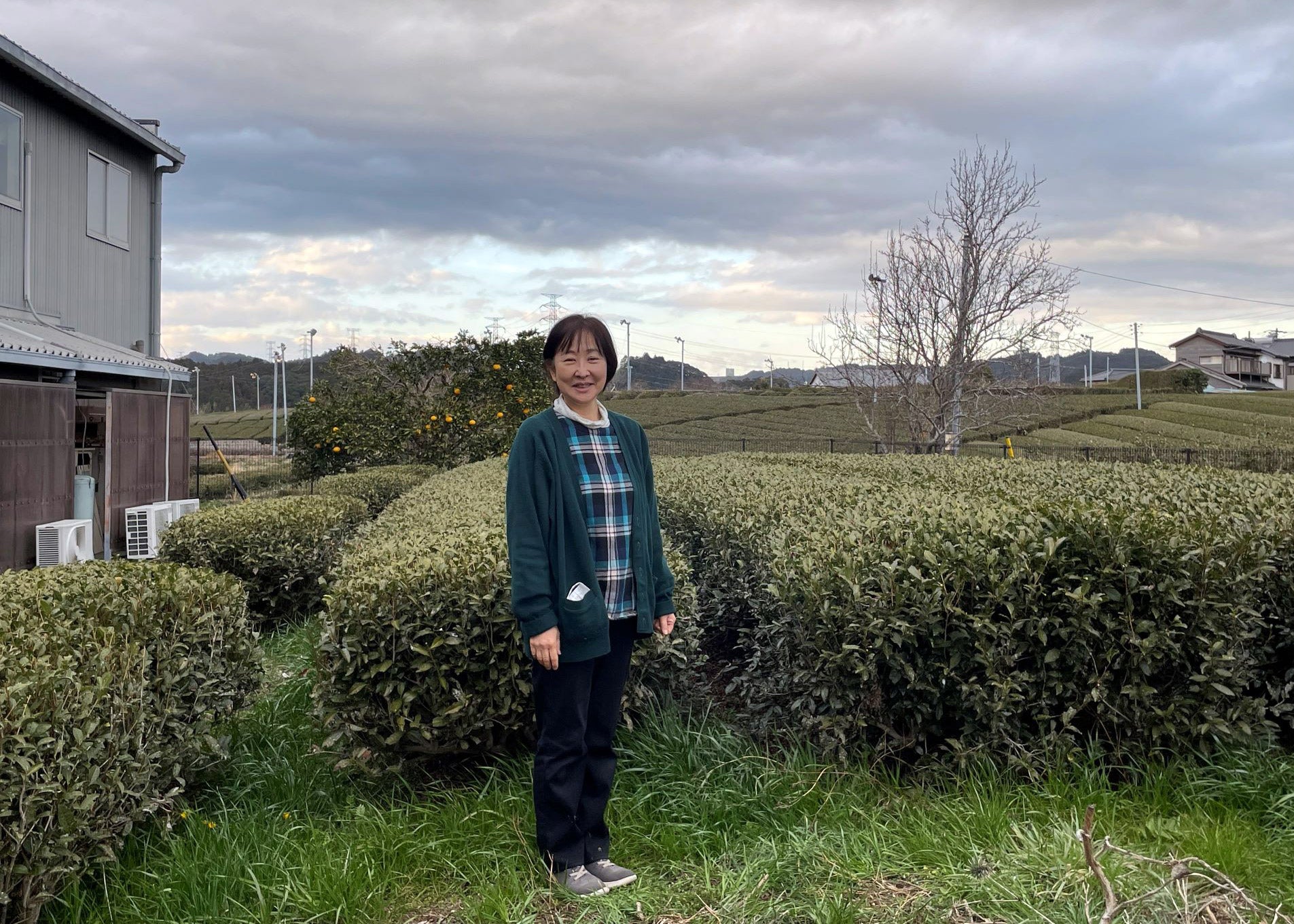 Hiroko-san standing in front of the tea farm