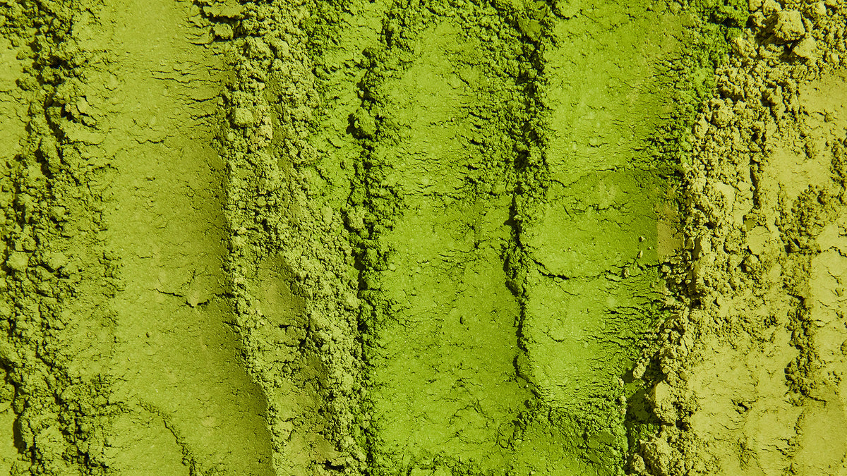 Matcha Color Guide Why Matcha's Color is Important – Matchaful